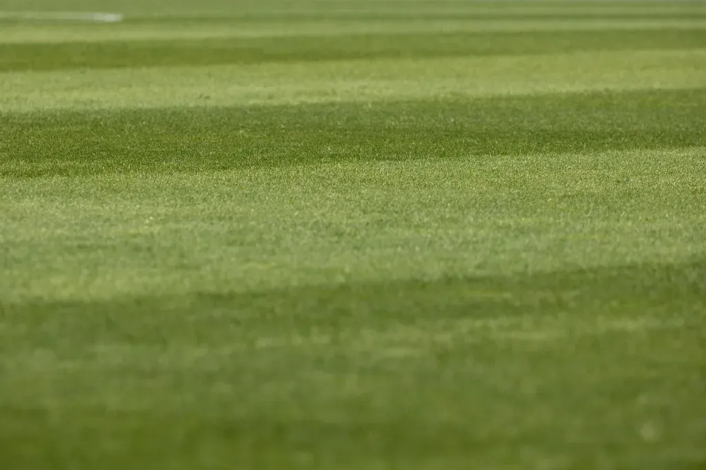 normy bezpieczeństwa dla piłkochwytów